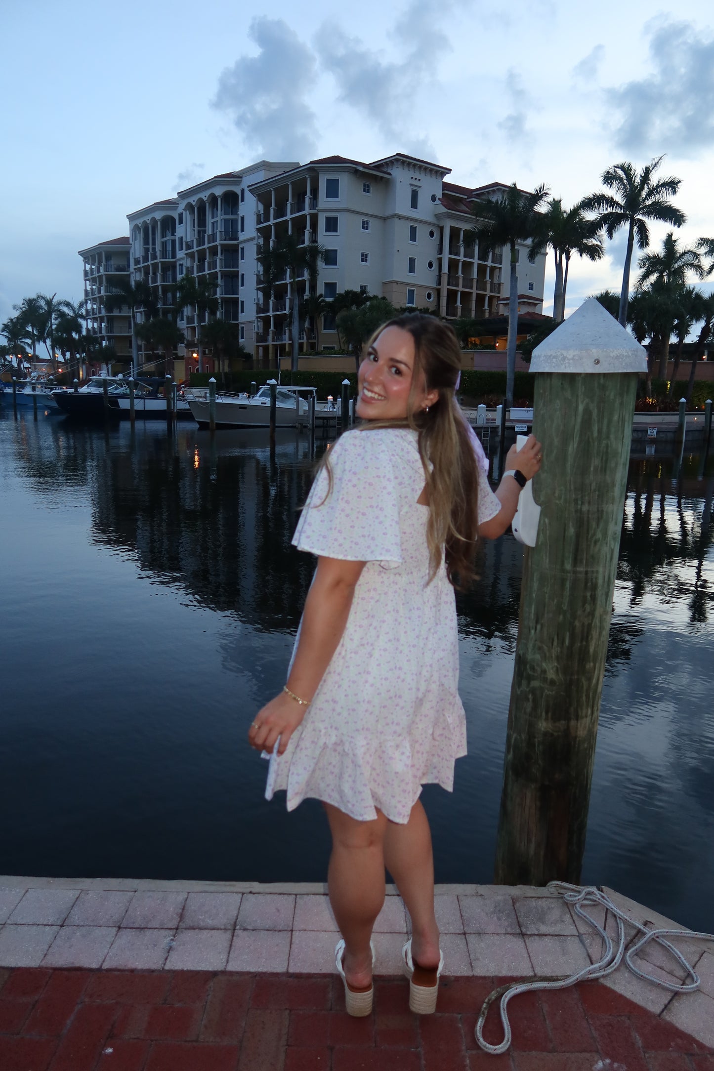 Wisteria Mini Dress