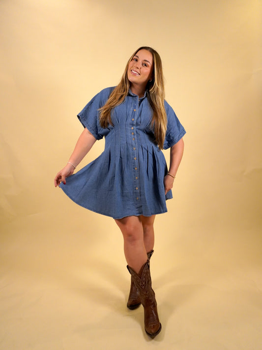 Dear Denim Mini Dress