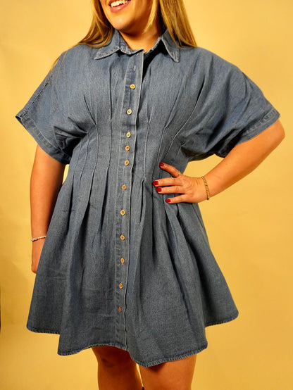 Dear Denim Mini Dress