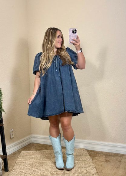 June Denim Mini Dress
