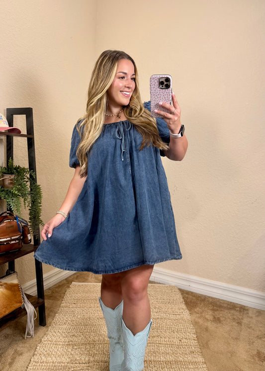 June Denim Mini Dress